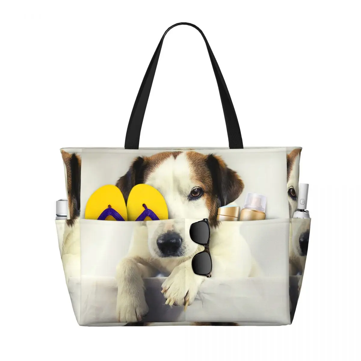 Dog Jack Russell Terrier Photo - Yoga Fitness Photos review and price