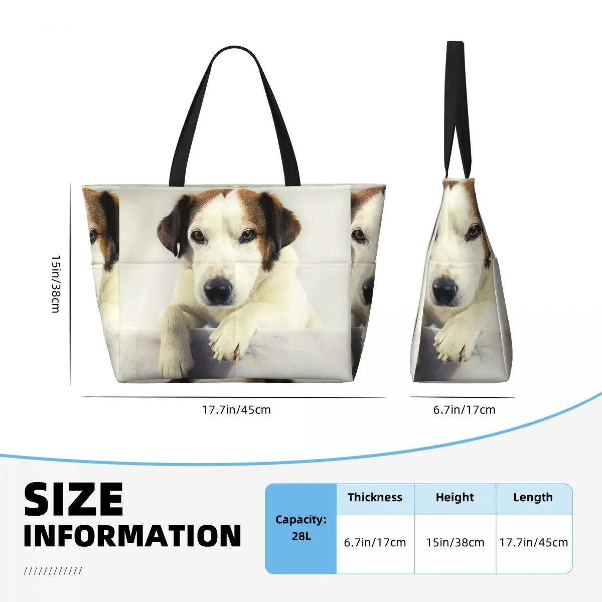 Dog Jack Russell Terrier Photo - Yoga Fitness Photos review and price